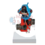 Exhaust Gas Recirculation Anatomical Model